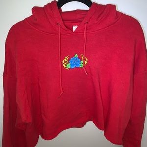 PacSun cropped hoodie